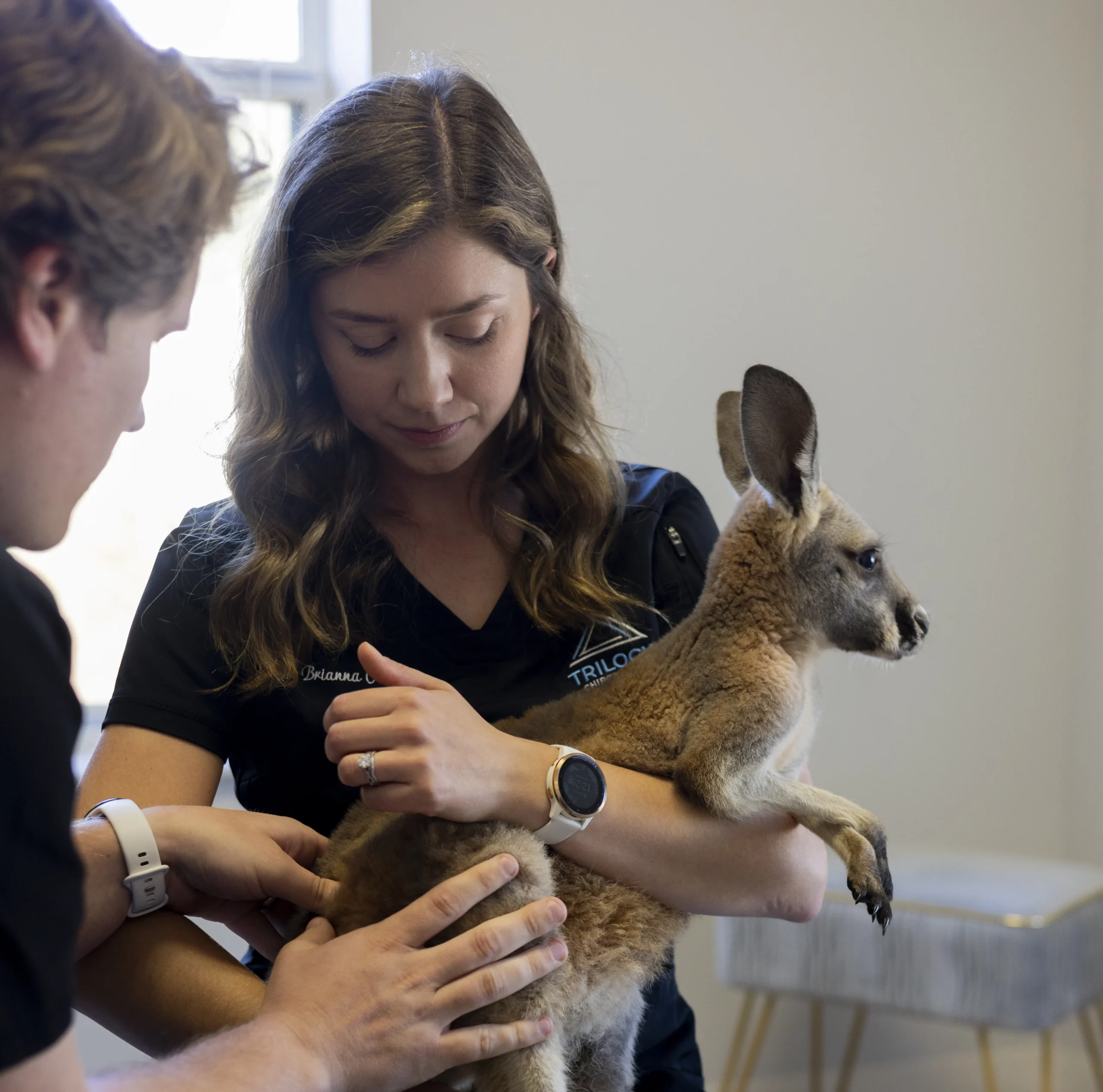 animals-services-a animals services a scaled