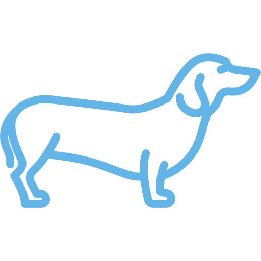Chiropractic Care Manatee County 5 dachshund