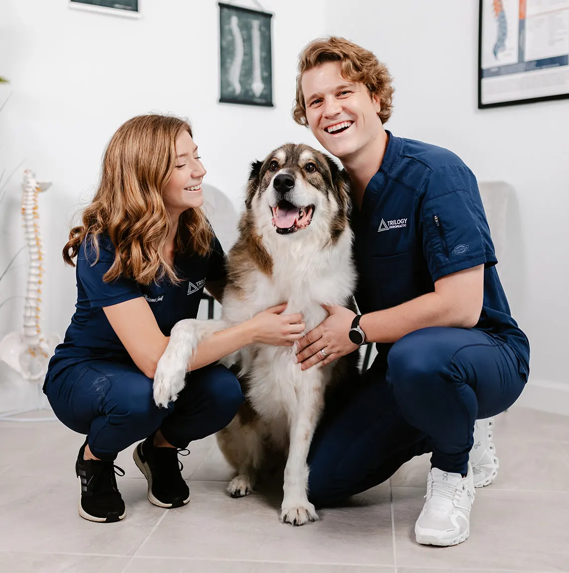 dog chiropractic banner b