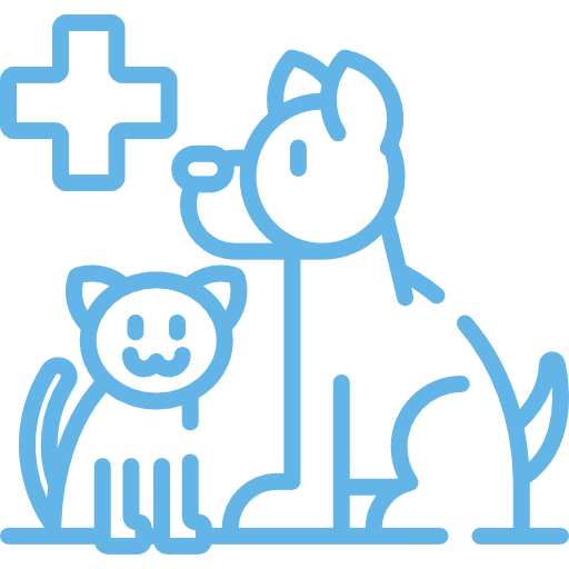 Animal Chiropractic 3 faster recovery