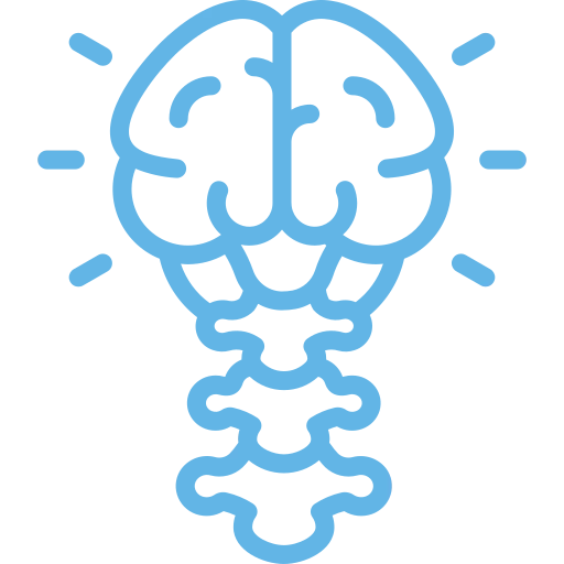 Pediatric Chiropractic 2 optimal nervous system function