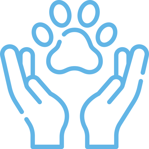 Animal Chiropractic 4 support overall well being animal